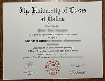 How Many People Owned the UT-Dallas Degree online?