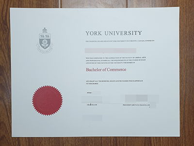 The Best Way To Get York University Bachelor Degree Online