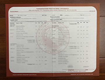 What The Northwestern Polytechnic University (NPU) Transcript Look Like?