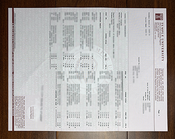 What Kind Of The Temple University Transcript?