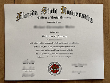 What Made You Buy A Florida State University Diploma?