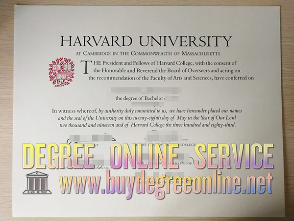 Harvard University Bachelor degree