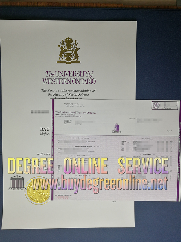 University of Western Ontario degree