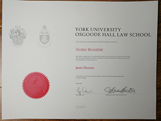 How to buy a fake York University Juris Doctor degree in Canada