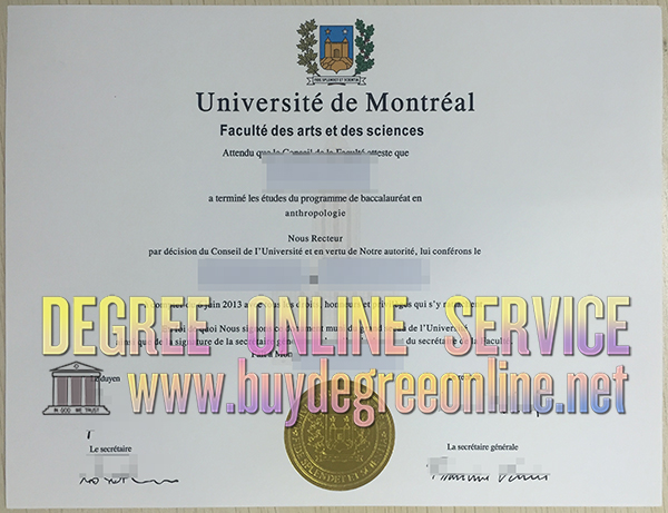 University of Montreal degree