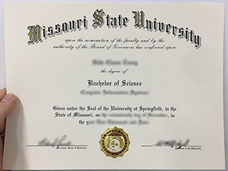 How to order a realistic Missouri State University BSc degree online