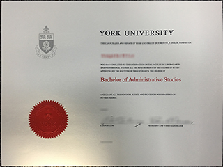Fake York University Bachelor degree, buy York University transcript