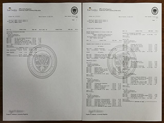 East Carolina University fake transcript, buy ECU diploma online