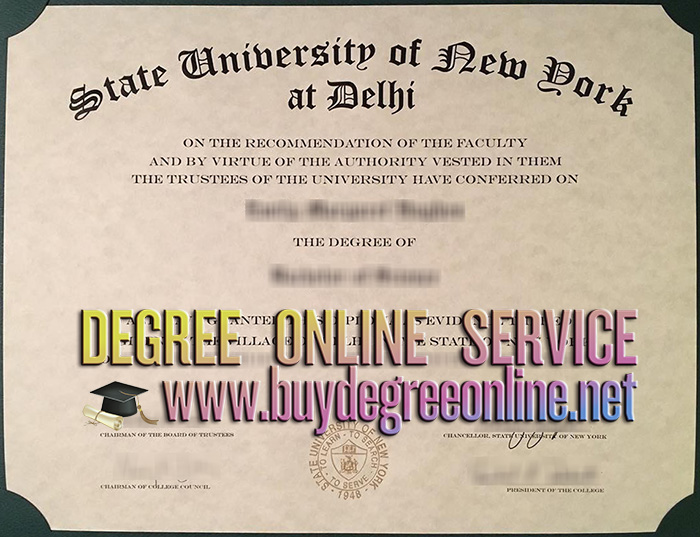 State University of New York at Delhi degree