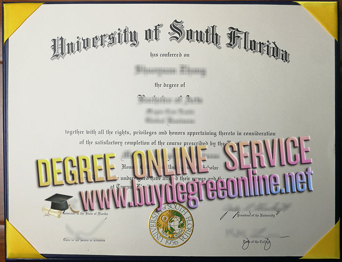 University of South Florida diploma