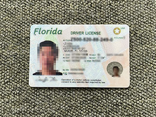 Apply for a realistic Florida Driver’s License, buy Florida DL online