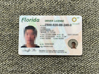 Apply for a realistic Florida Driver’s License, buy Florida DL online