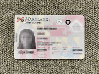 Can I get a realistic Maryland Driver’s License online?