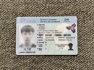 How to buy a premium Ontario Driver’s license in Canada
