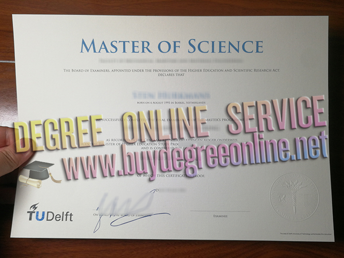 Technische Universiteit Delft degree