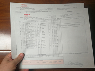 Where to order a Seneca College transcript, fake Seneca diploma online
