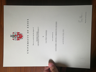 Is it possible to get a University of Essex diploma online?