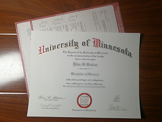 I want to order a University of Minnesota diploma and transcript in 2024