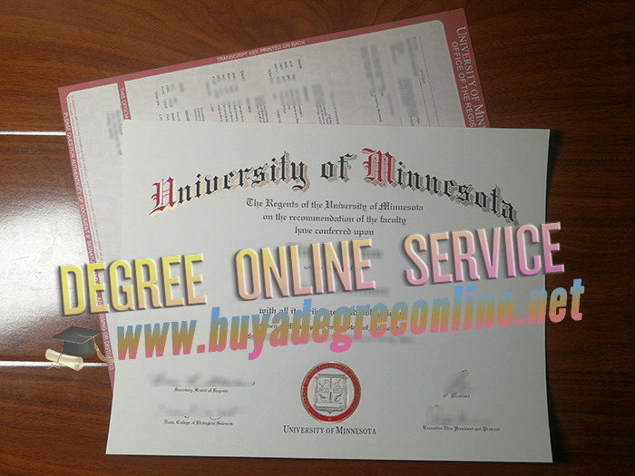 University of Minnesota diploma and transcript