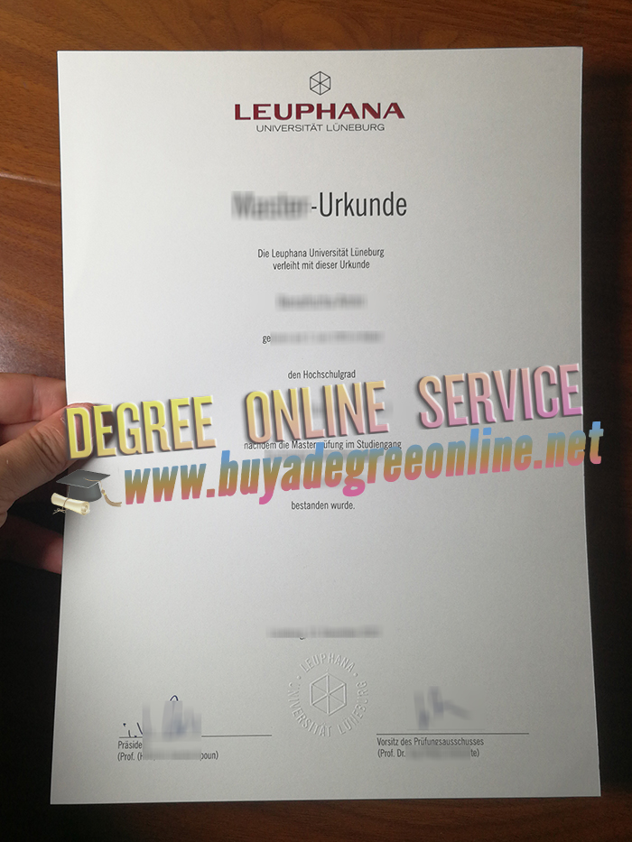 Leuphana University Lüneburg diploma