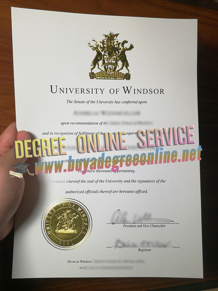 University of Windsor degree