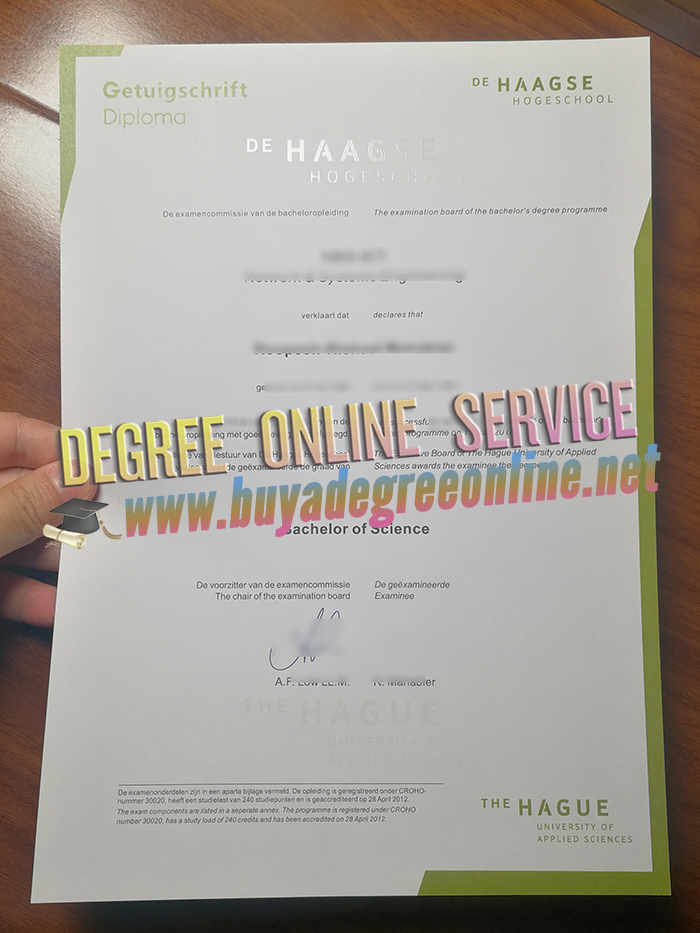 De Haagse Hogeschool degree