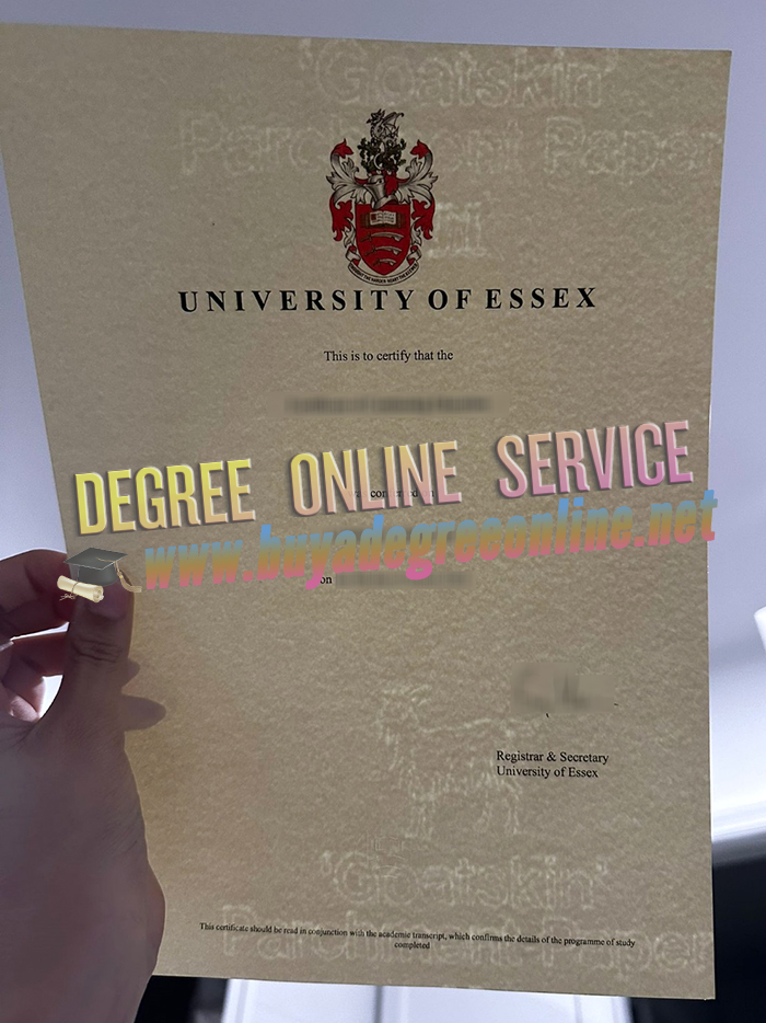 University of Essex degree