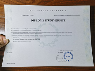 Where to purchase a fake IUT Lyon 1 diploma certificate online
