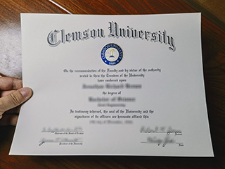 I would like to get a Clemson University degree certificate online