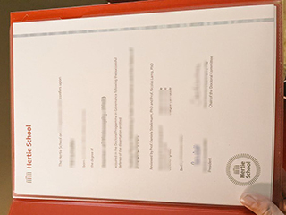 Is it possible to get a Hertie School doctor degree in Germany?