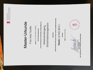 How to obtain a Hochschule für Wirtschaft und Recht Berlin diploma